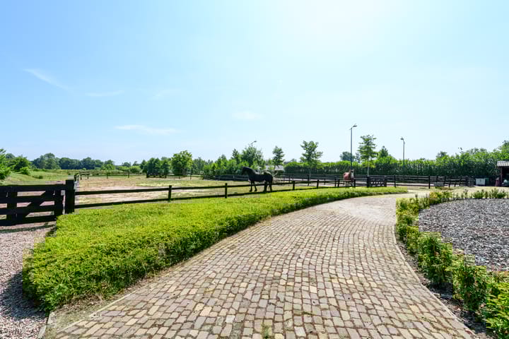 Foto 76 van De Feart 51