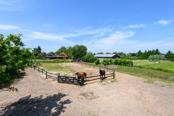 Foto 77 van De Feart 51