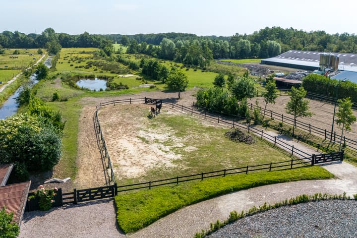 Foto 79 van De Feart 51