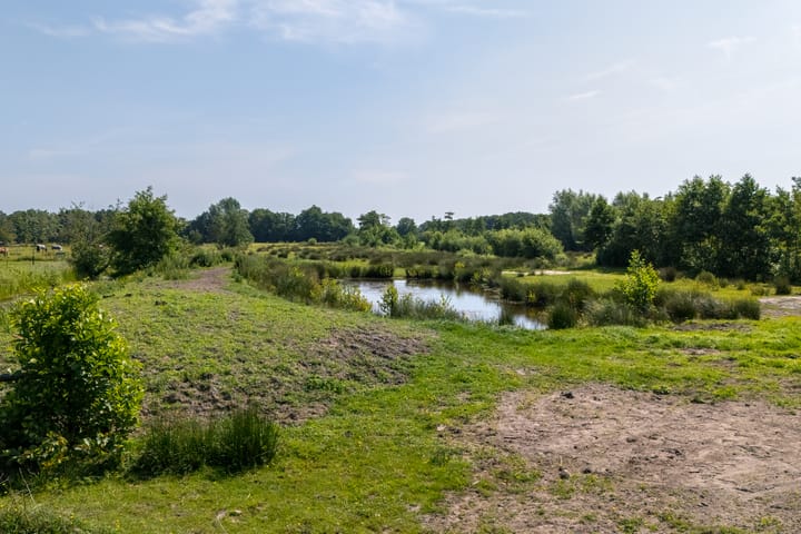 Foto 96 van De Feart 51