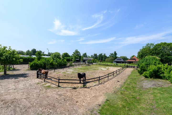 Foto 99 van De Feart 51