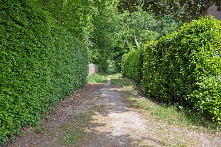 Foto 36 van Kleine Bergdijk 17