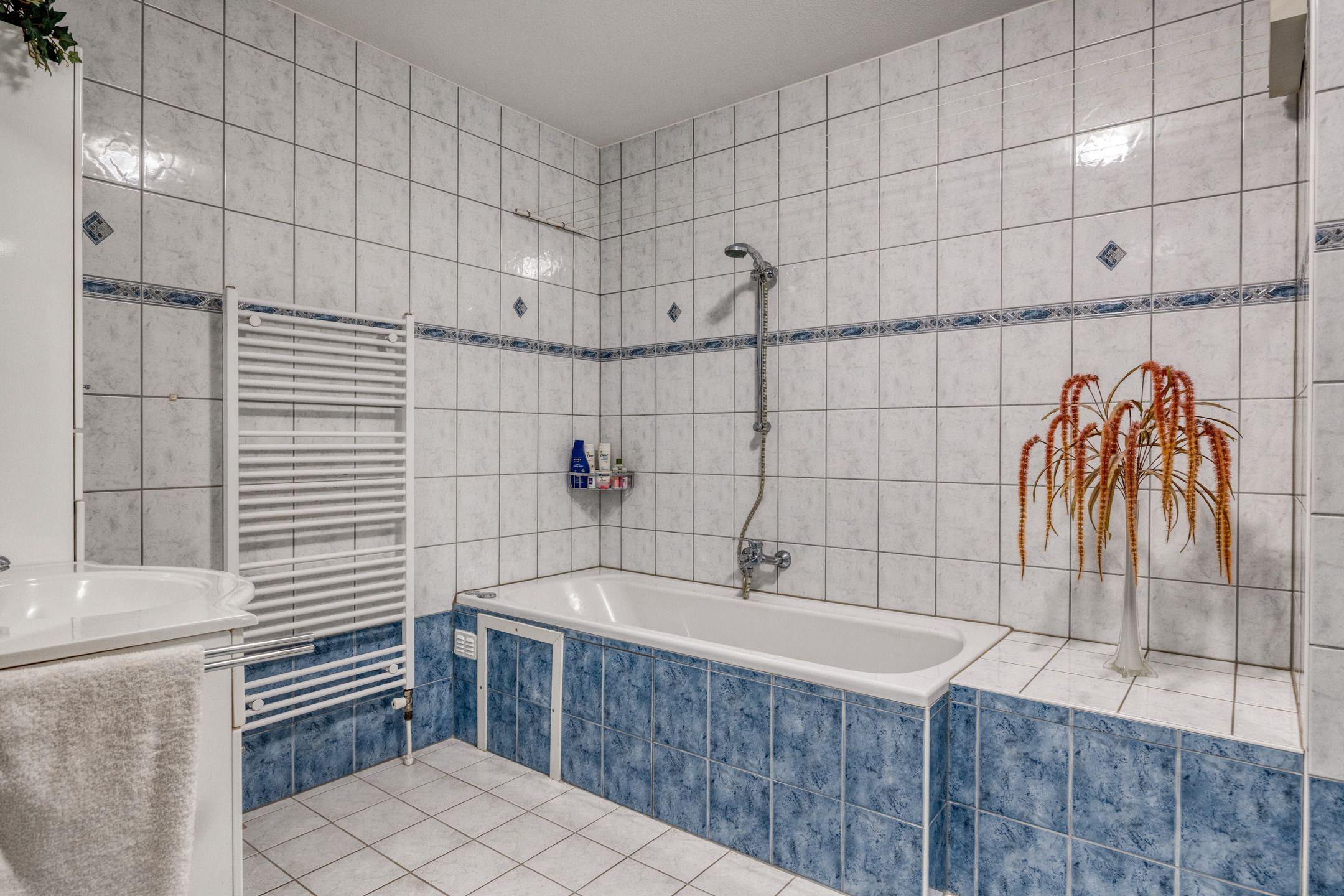 Foto 30 van De Reiger 12