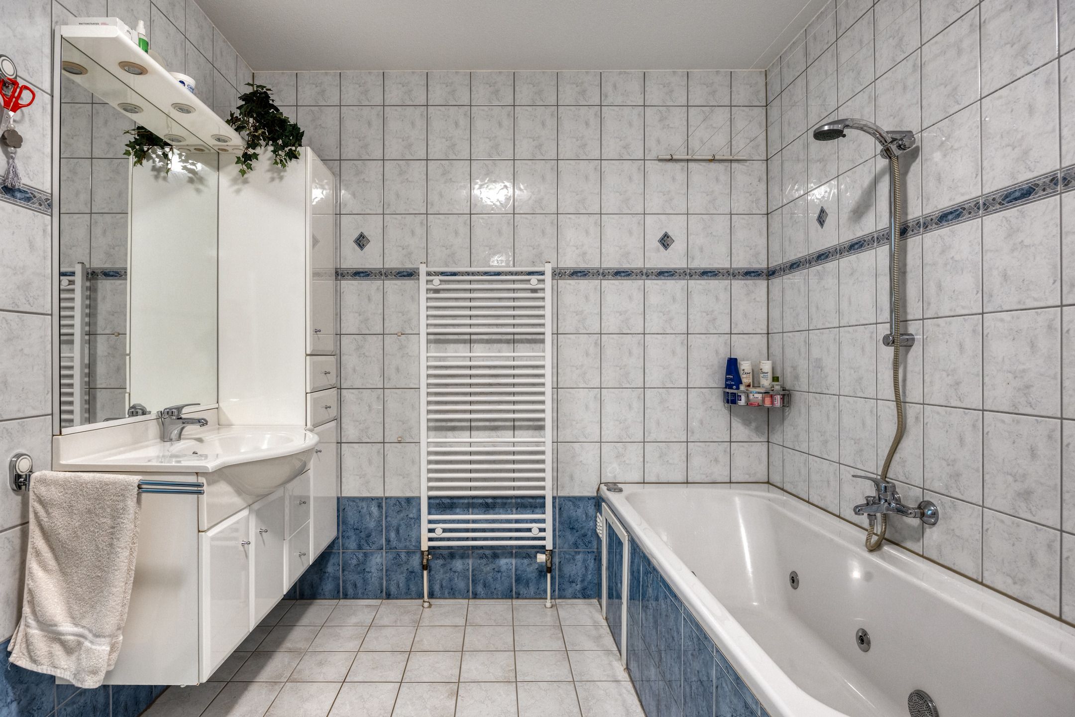 Foto 33 van De Reiger 12