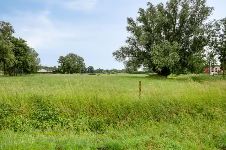 Foto 40 van De Reiger 12