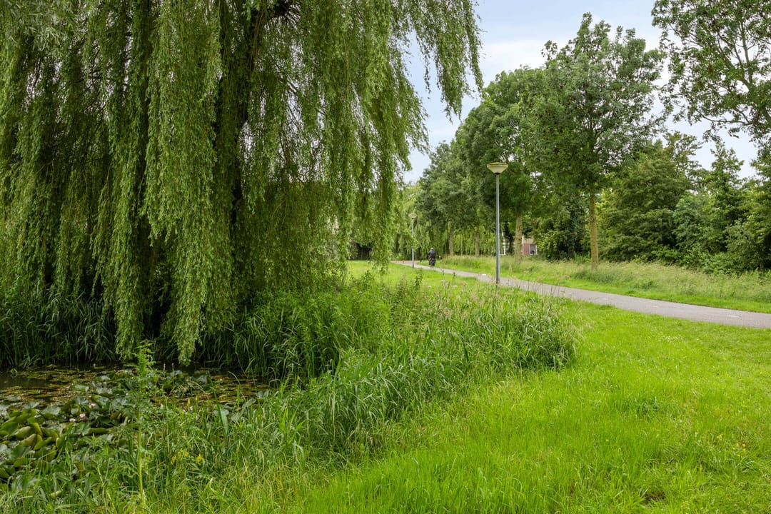 Foto 41 van De Reiger 12