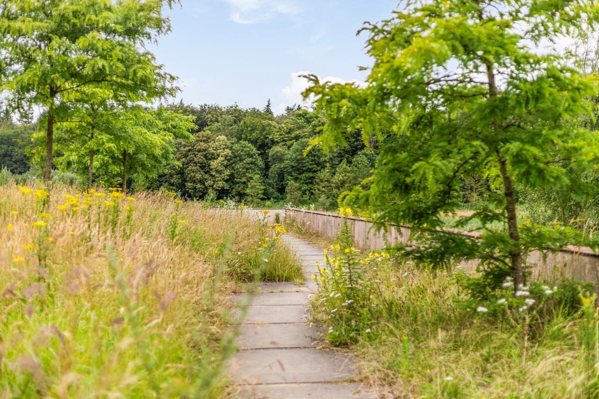 Foto 54 van Waterweg 78