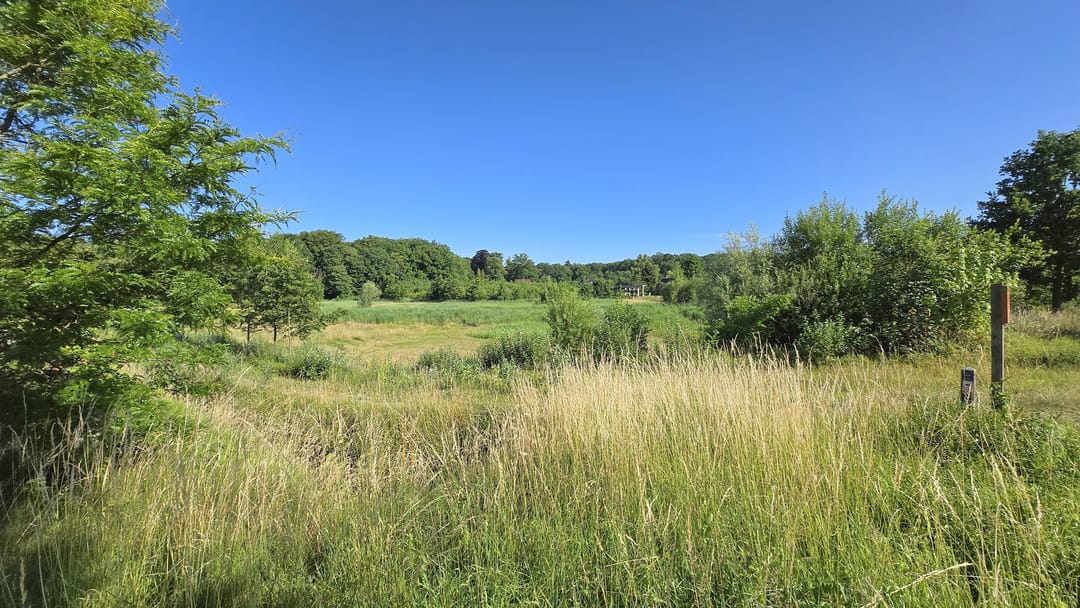 Foto 2 van Waterweg 78