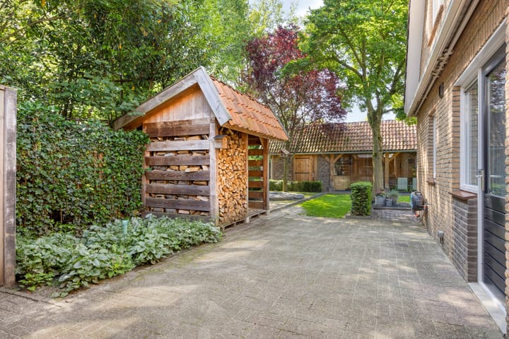 Foto 30 van de Havik 6