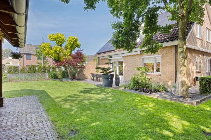 Foto 32 van de Havik 6