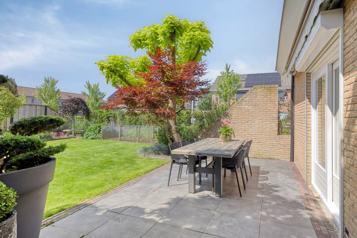 Foto 33 van de Havik 6