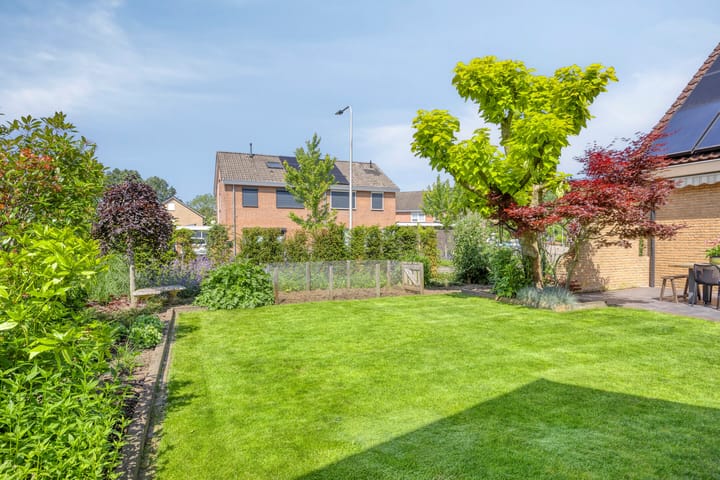 Foto 34 van de Havik 6