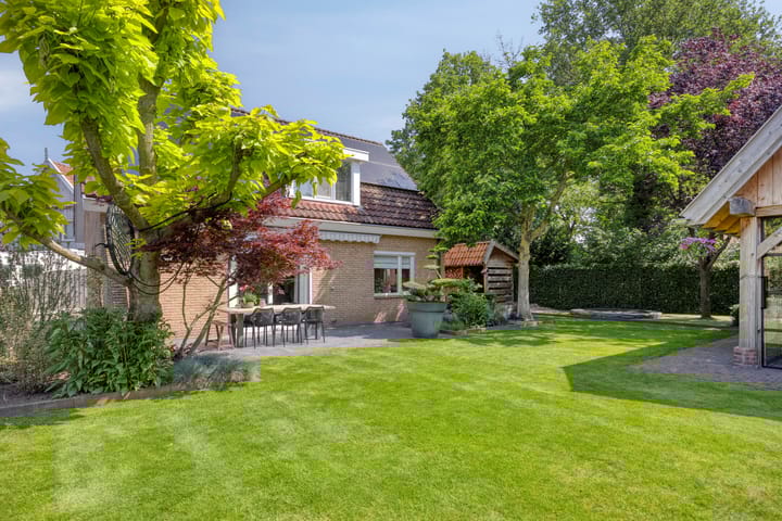 Foto 40 van de Havik 6