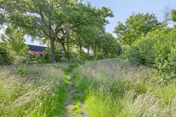 Foto 46 van de Havik 6