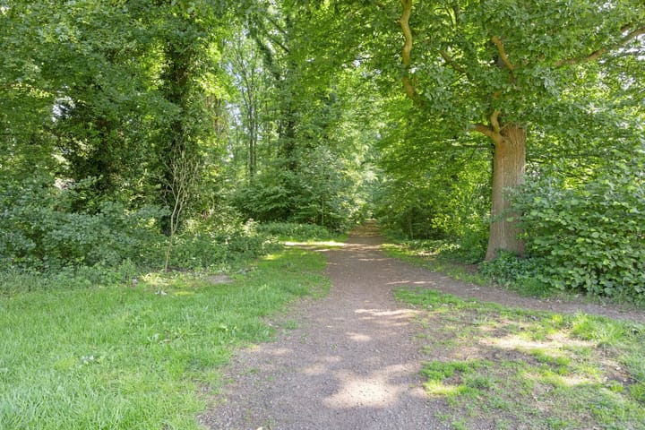 Foto 47 van de Havik 6