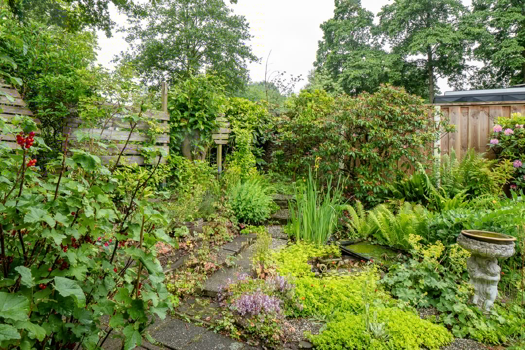 Foto 41 van Eduard Flipsestraat 6