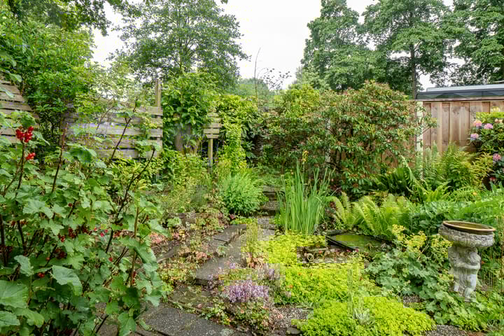 Foto 41 van Eduard Flipsestraat 6