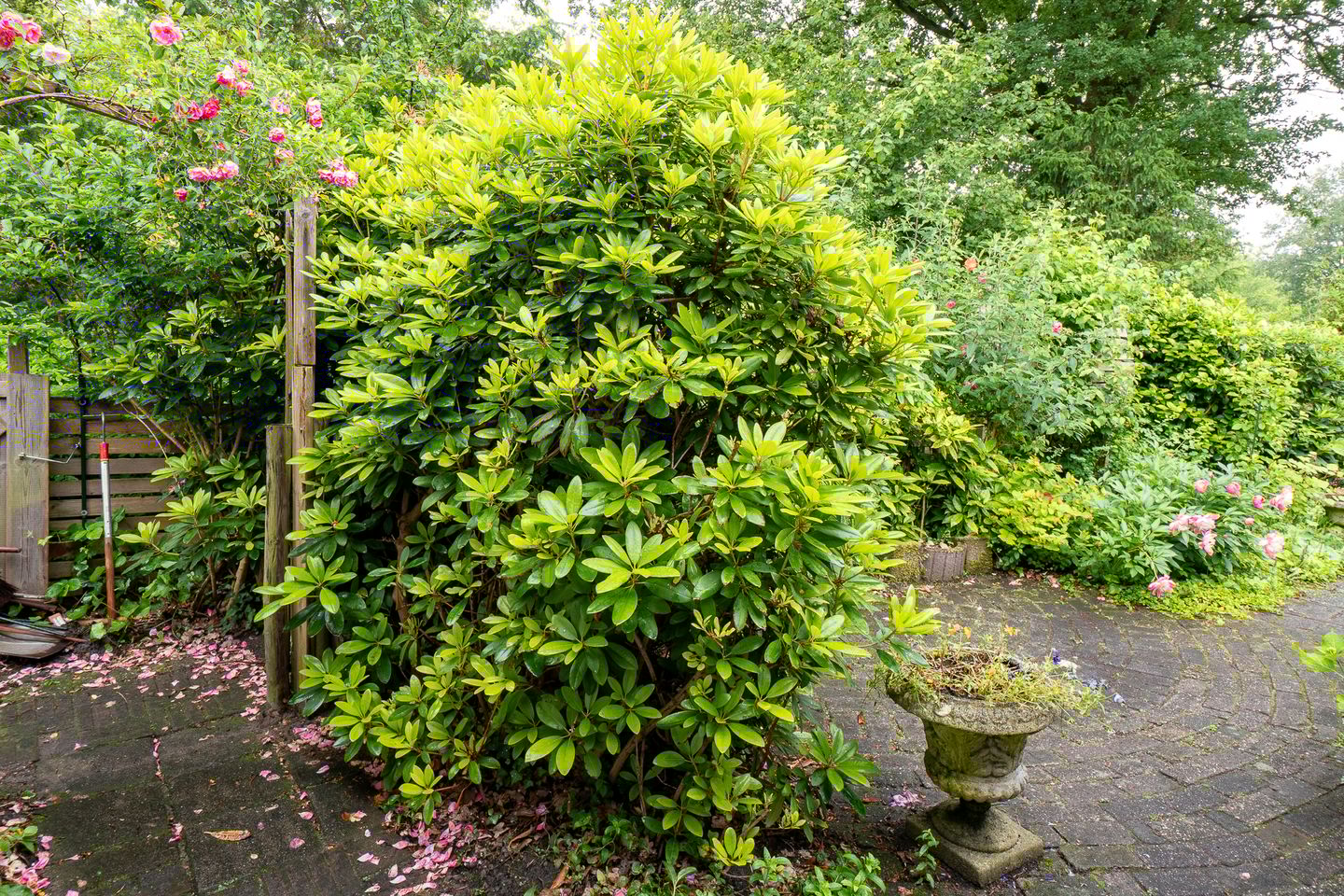 Foto 44 van Eduard Flipsestraat 6