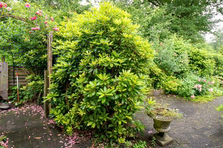 Foto 44 van Eduard Flipsestraat 6