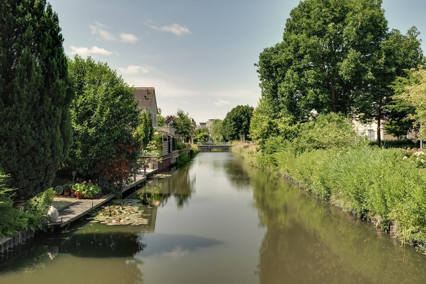 Foto 25 van Robijn 18