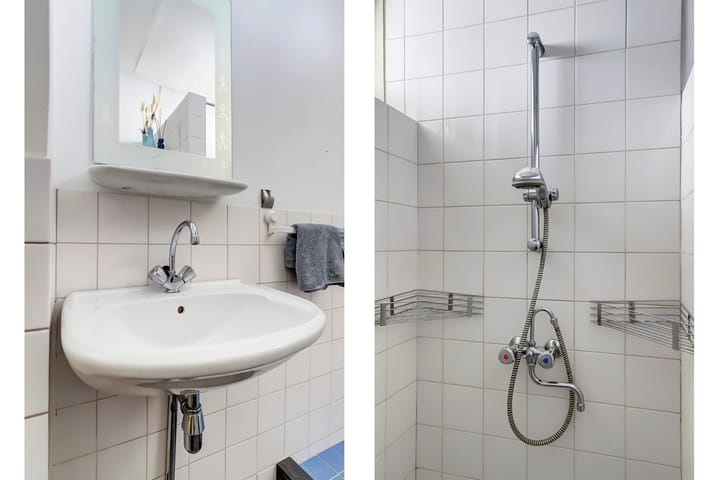 Foto 4 van Laan van Nieuw-Guinea 101-BS