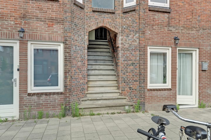 Foto 6 van Laan van Nieuw-Guinea 101-BS