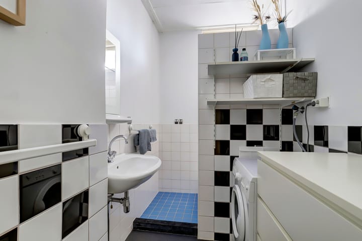 Foto 16 van Laan van Nieuw-Guinea 101-BS