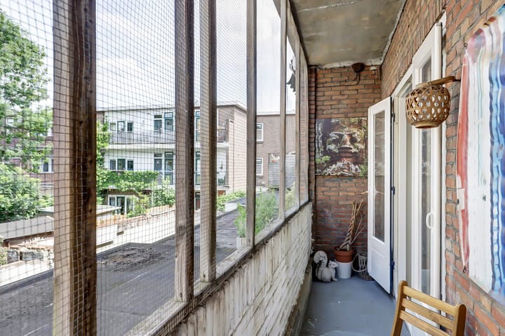 Foto 21 van Laan van Nieuw-Guinea 101-BS