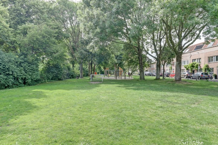 Foto 27 van Laan van Nieuw-Guinea 101-BS