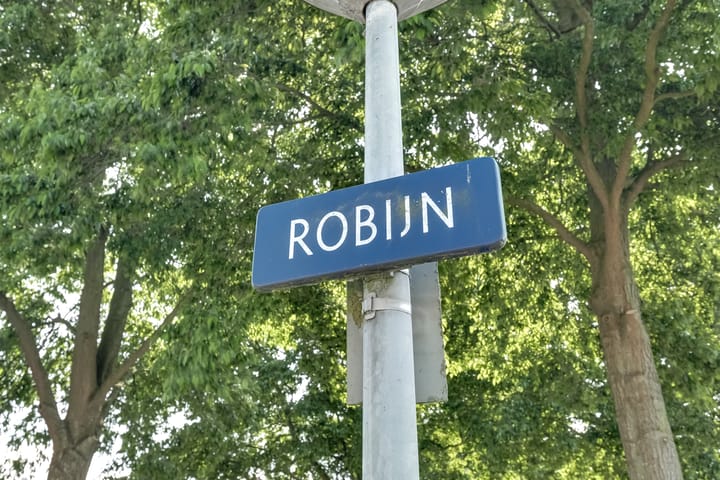 Foto 47 van Robijn 18