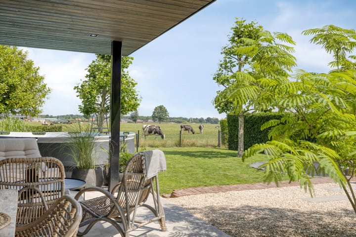 Foto 5 van van Lanschotstraat 19