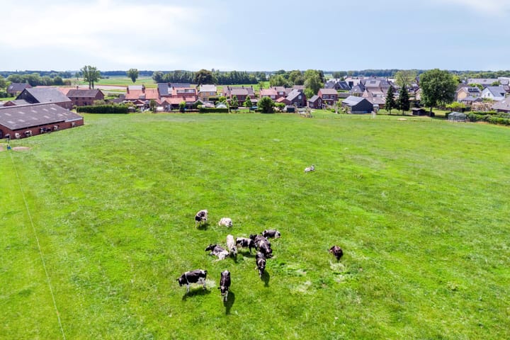 Foto 60 van van Lanschotstraat 19