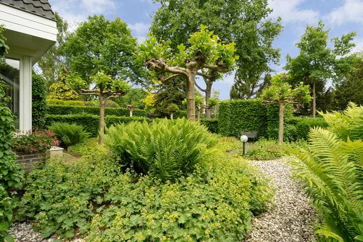 Foto 5 van Spiekerbrink 40