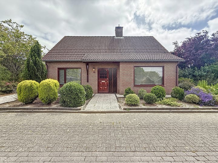 Foto 3 van Galjoen 18