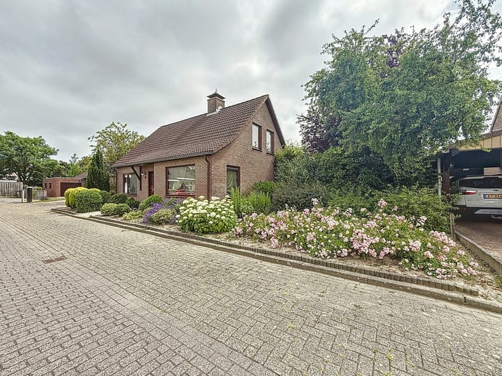 Foto 4 van Galjoen 18