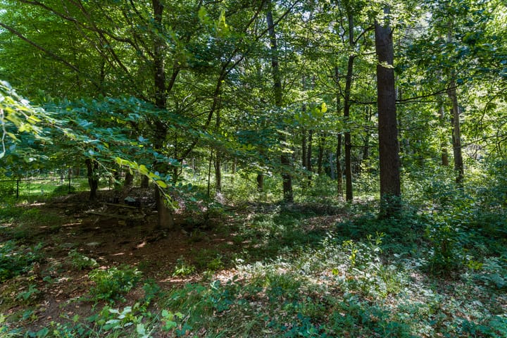 Foto 14 van Loenenseweg 111