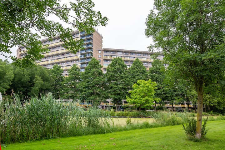 Foto 4 van Dokter van Stratenweg 748