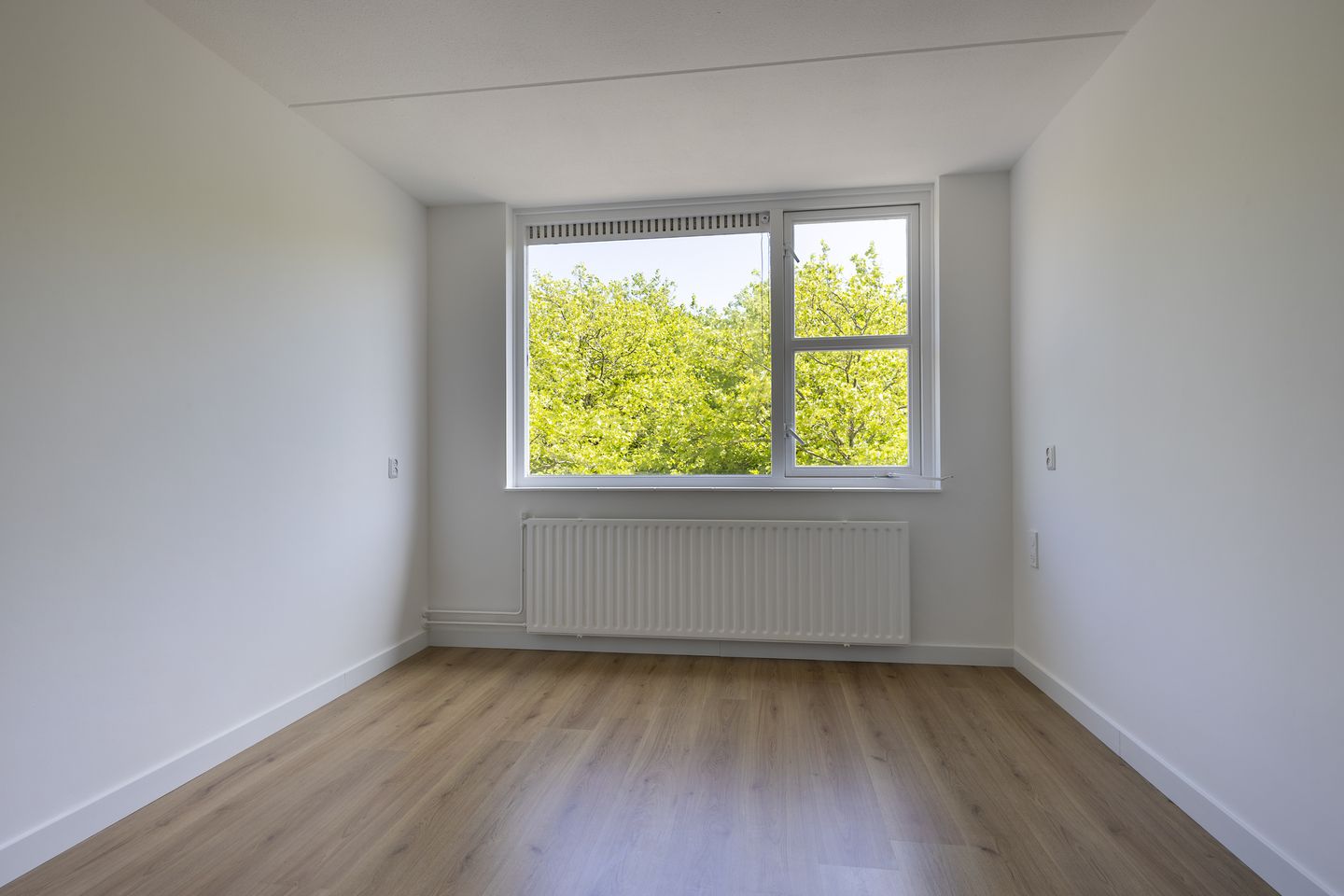 Foto 19 van Kievit 88