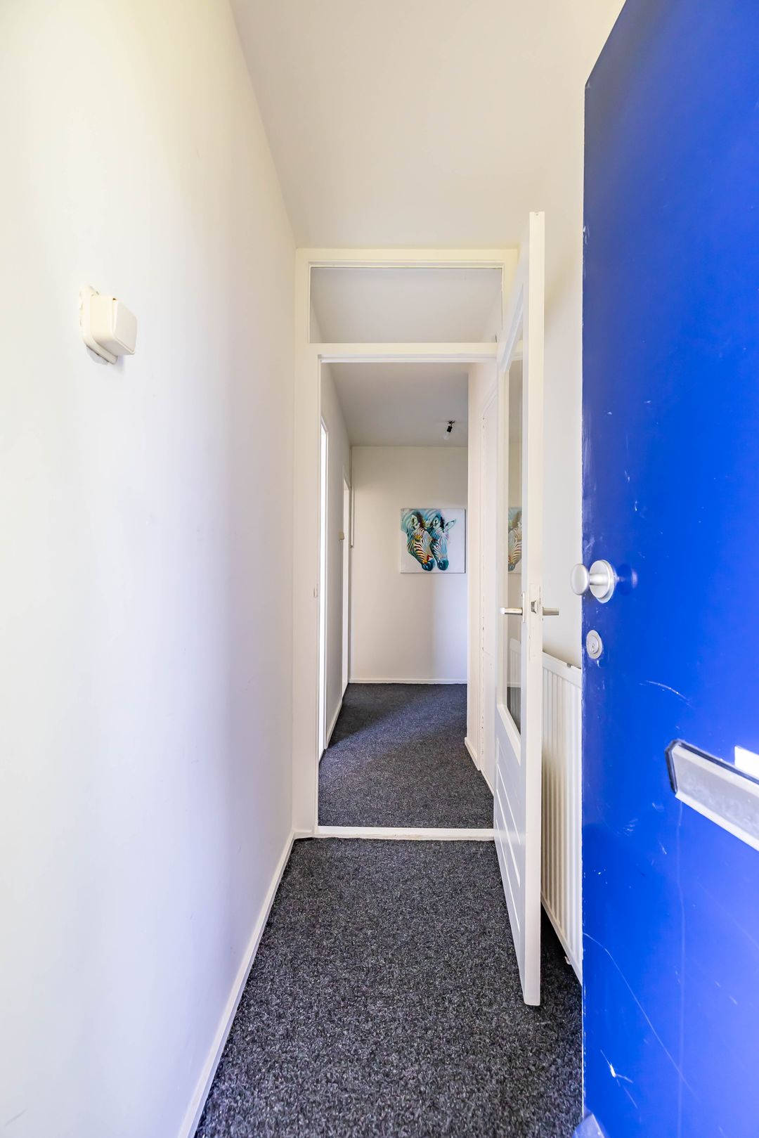 Foto 8 van Koeriersterweg 52