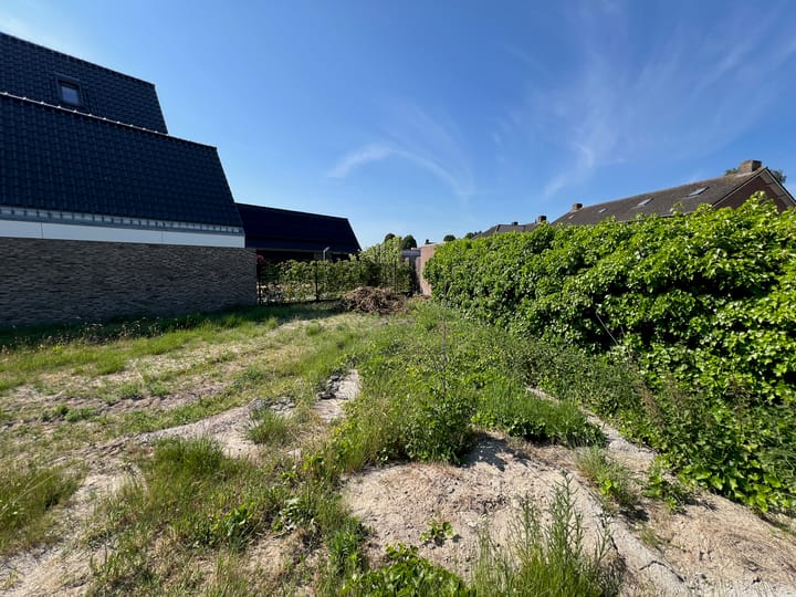 Foto 5 van De Roozendries