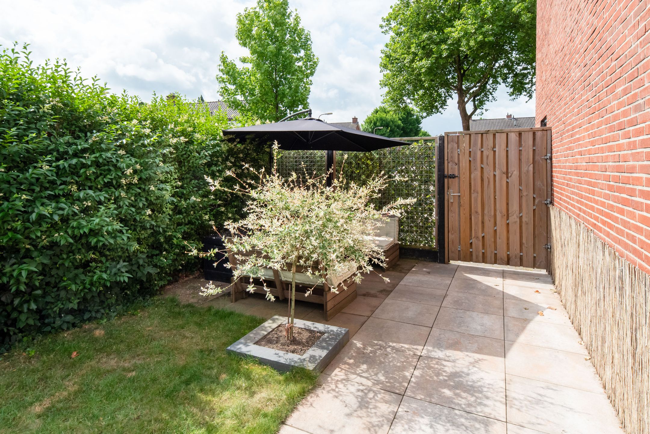 Foto 33 van Wijnand Zeeuwstraat 52