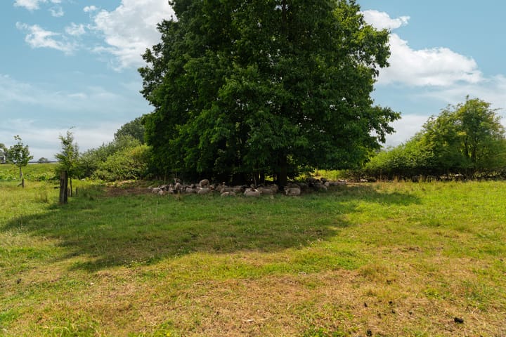 Foto 45 van Margrietstraat 16