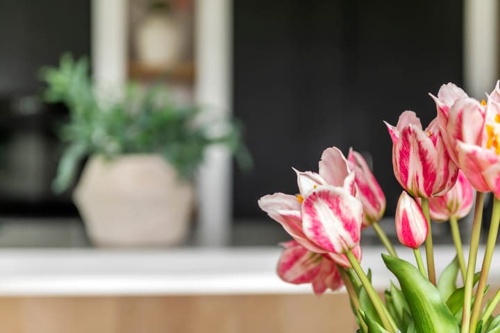 Foto 68 van Achterstraat 24-B