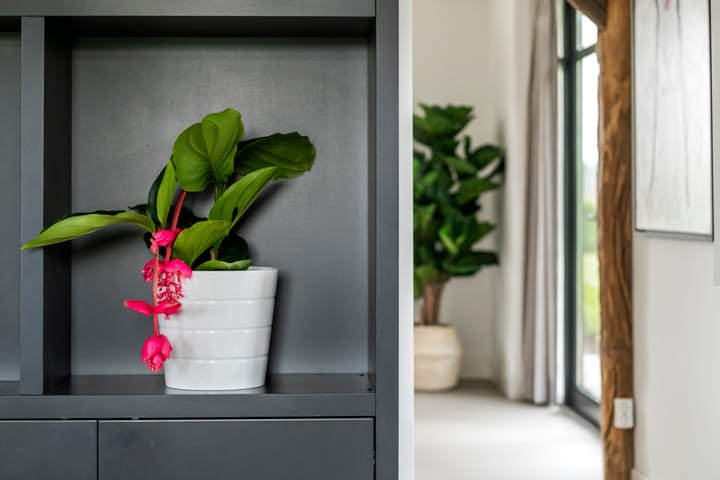 Foto 82 van Achterstraat 24-B