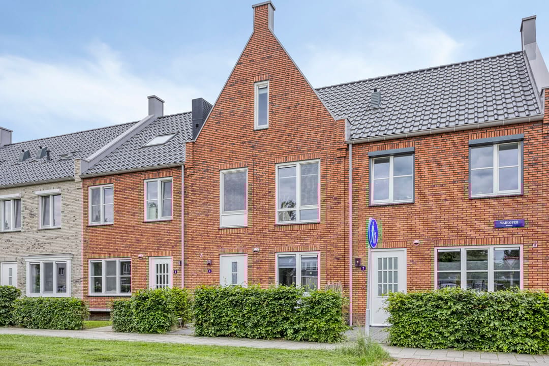 Foto 38 van Wadloper 4