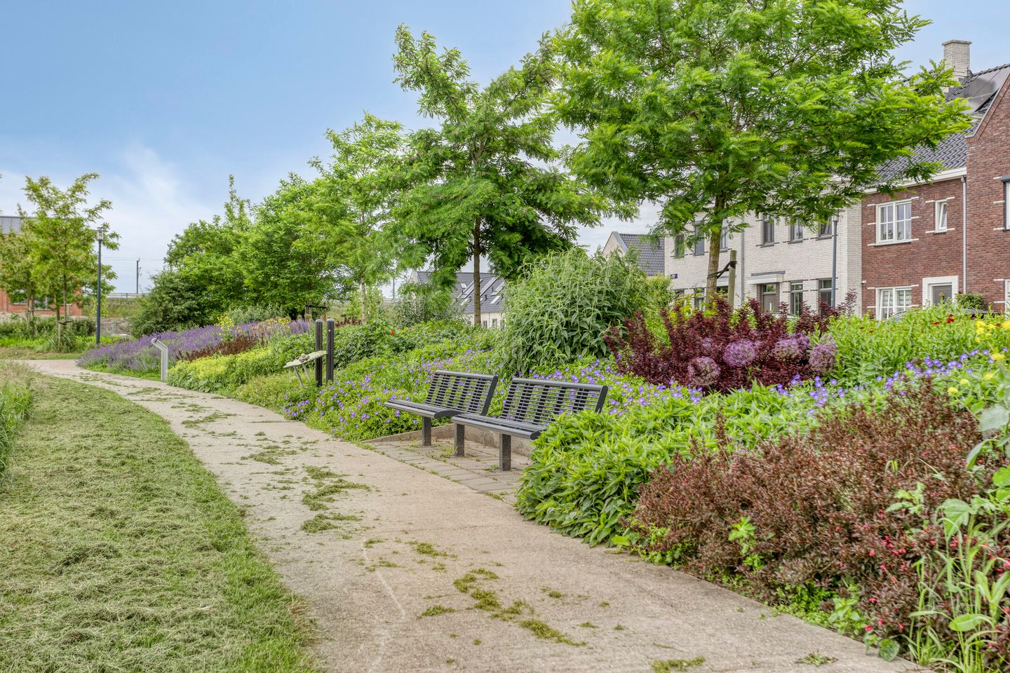 Foto 40 van Wadloper 4