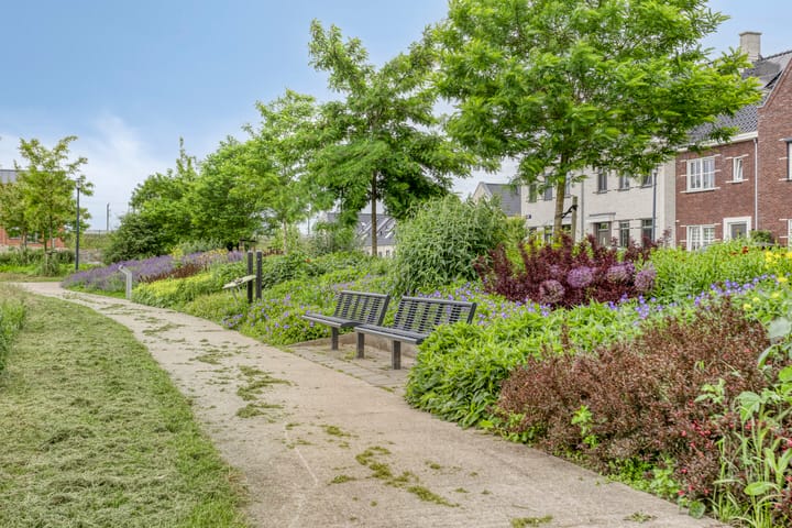 Foto 40 van Wadloper 4