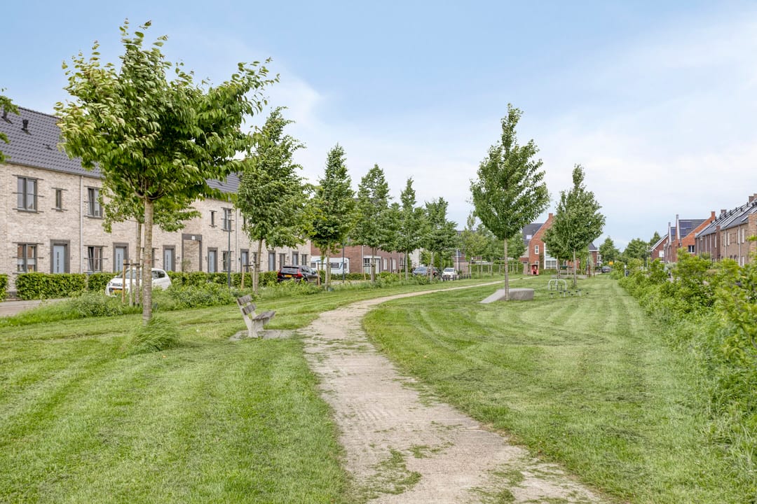 Foto 43 van Wadloper 4