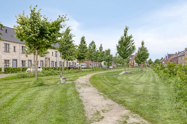 Foto 43 van Wadloper 4