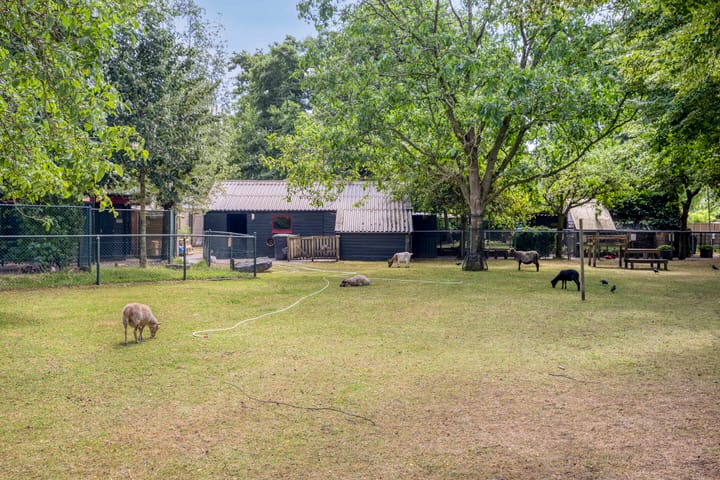 Foto 40 van Leistraat 62-A2